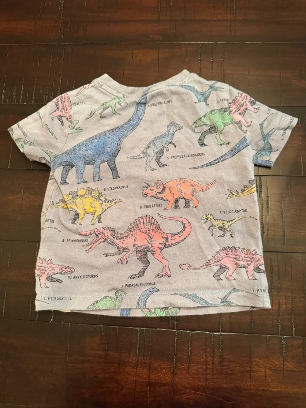 GAP Kids Dinosaur Pocket Tee - size 18-24 months